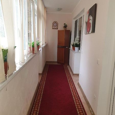 Appartement Alin Apartament à Iasi Extérieur photo