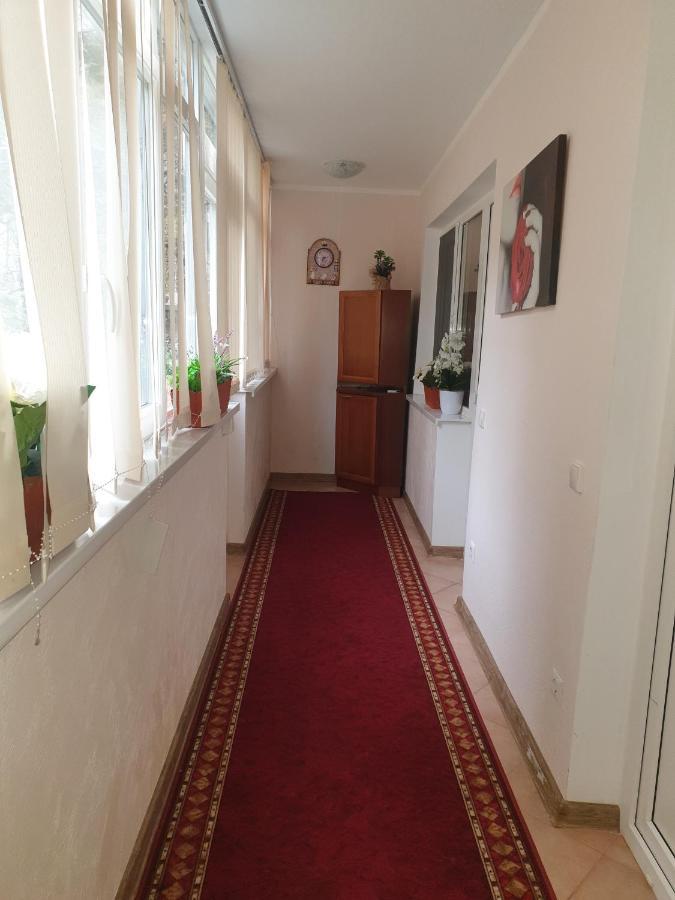 Appartement Alin Apartament à Iasi Extérieur photo